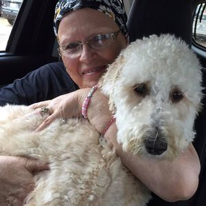 Meet your Posher, Sherry